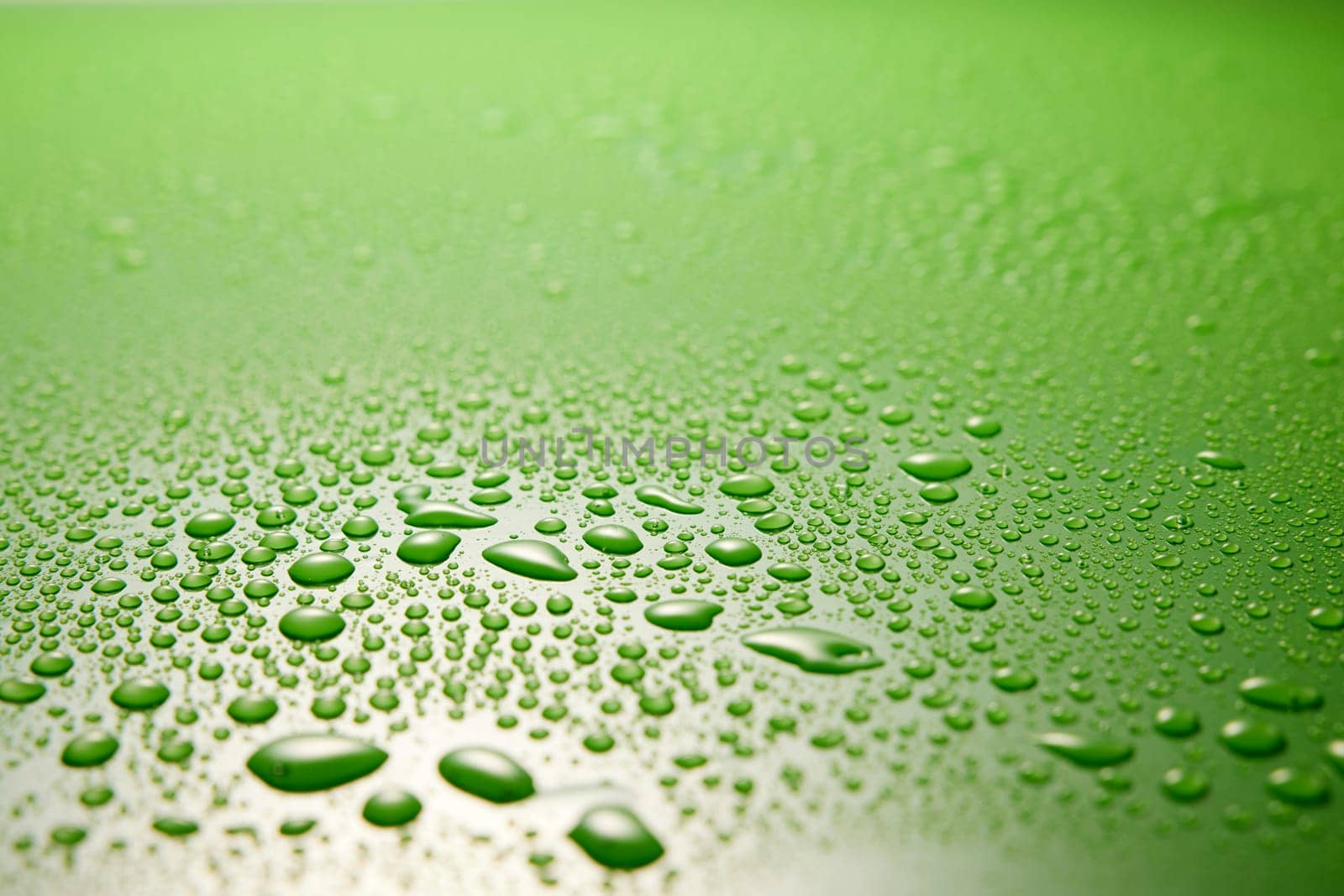 Full frame of abstract wet green background covered with abundance of small round clear drops of water in light room