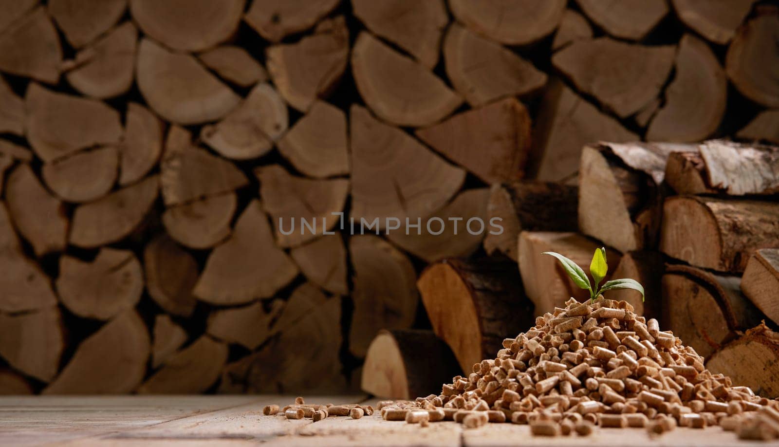 Pyramid of fuel pellets with green leaf on top near stack of chopped firewood in daylight