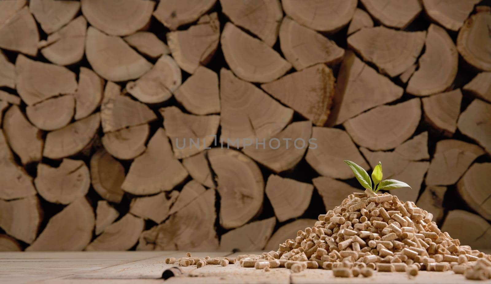 Pile of compressed cylindrical pellets with fresh green leaf scattered on floor against stack of firewood in daylight