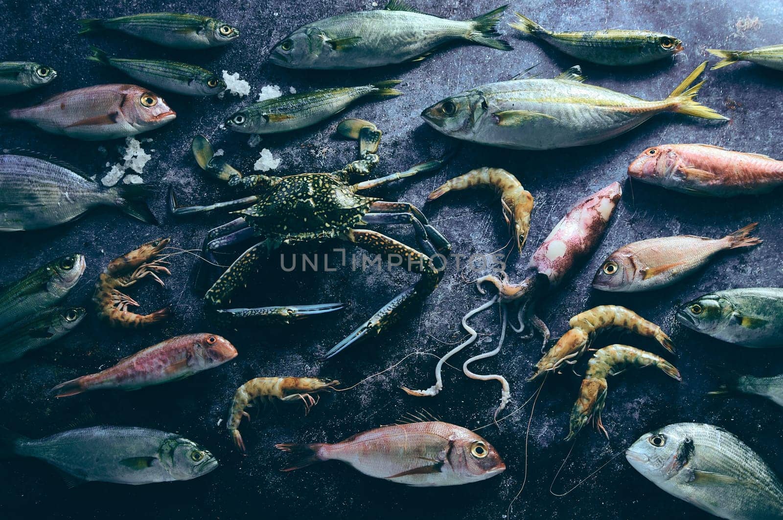 From above various types of raw fish placed on gray background with uncooked crab and shrimps near squad in light room
