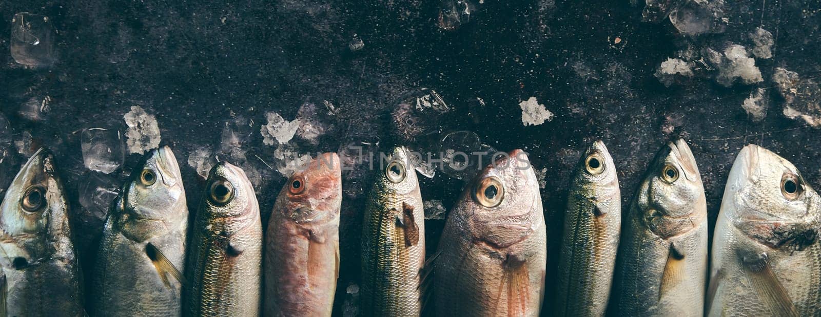 Top view abundance of different types of uncooked fish place don table with ice cubes in light kitchen during cooking process
