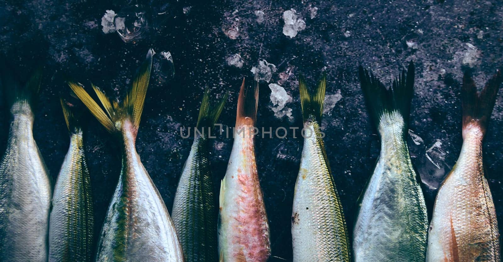 Top view of assorted uncooked fish stacked together on gray cold table with ice in light kitchen during cooking preparation