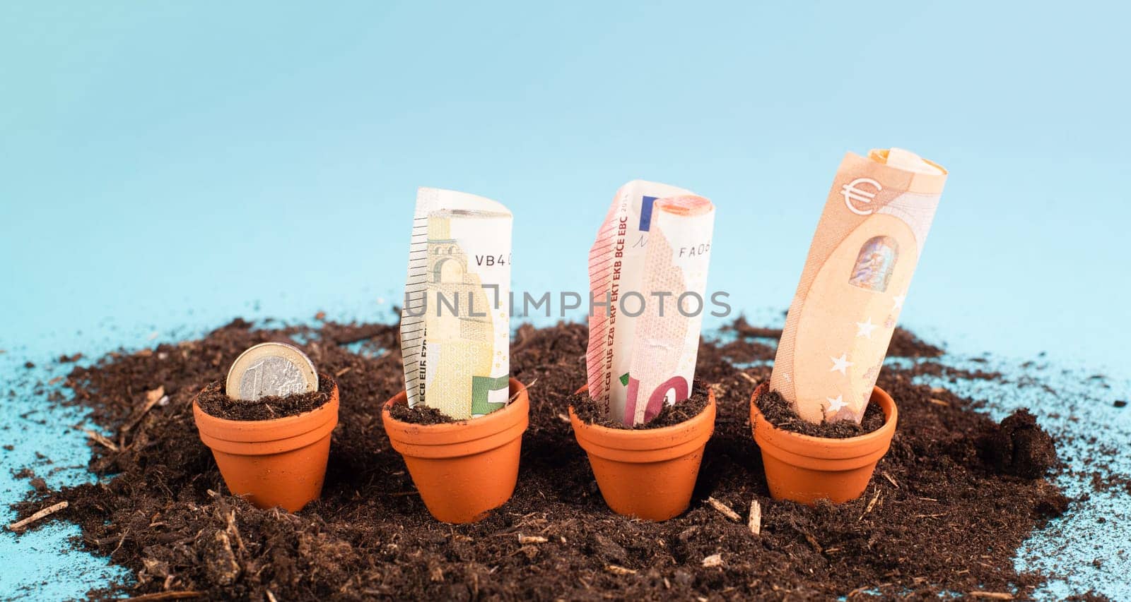 Euro banknotes in small flowerpots, money growing, financial planning, profitable investment, hope concept