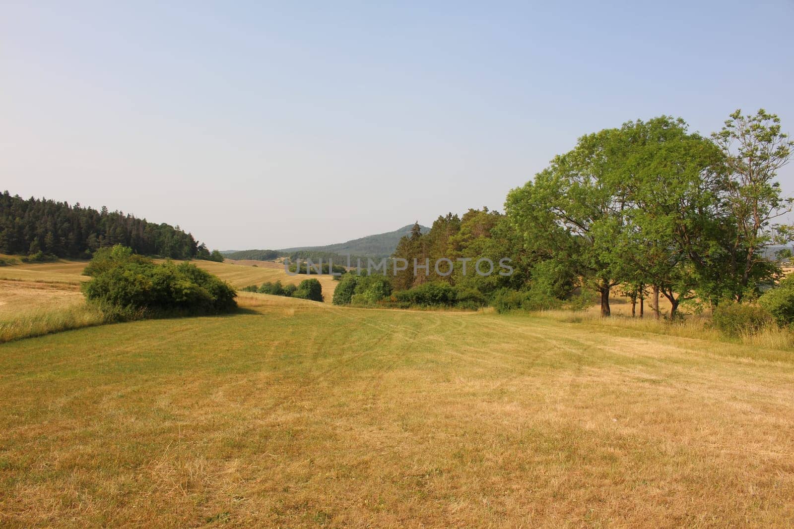 Landscape in Thuringia