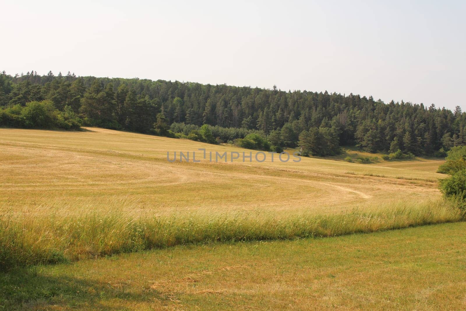 Landscape in Thuringia