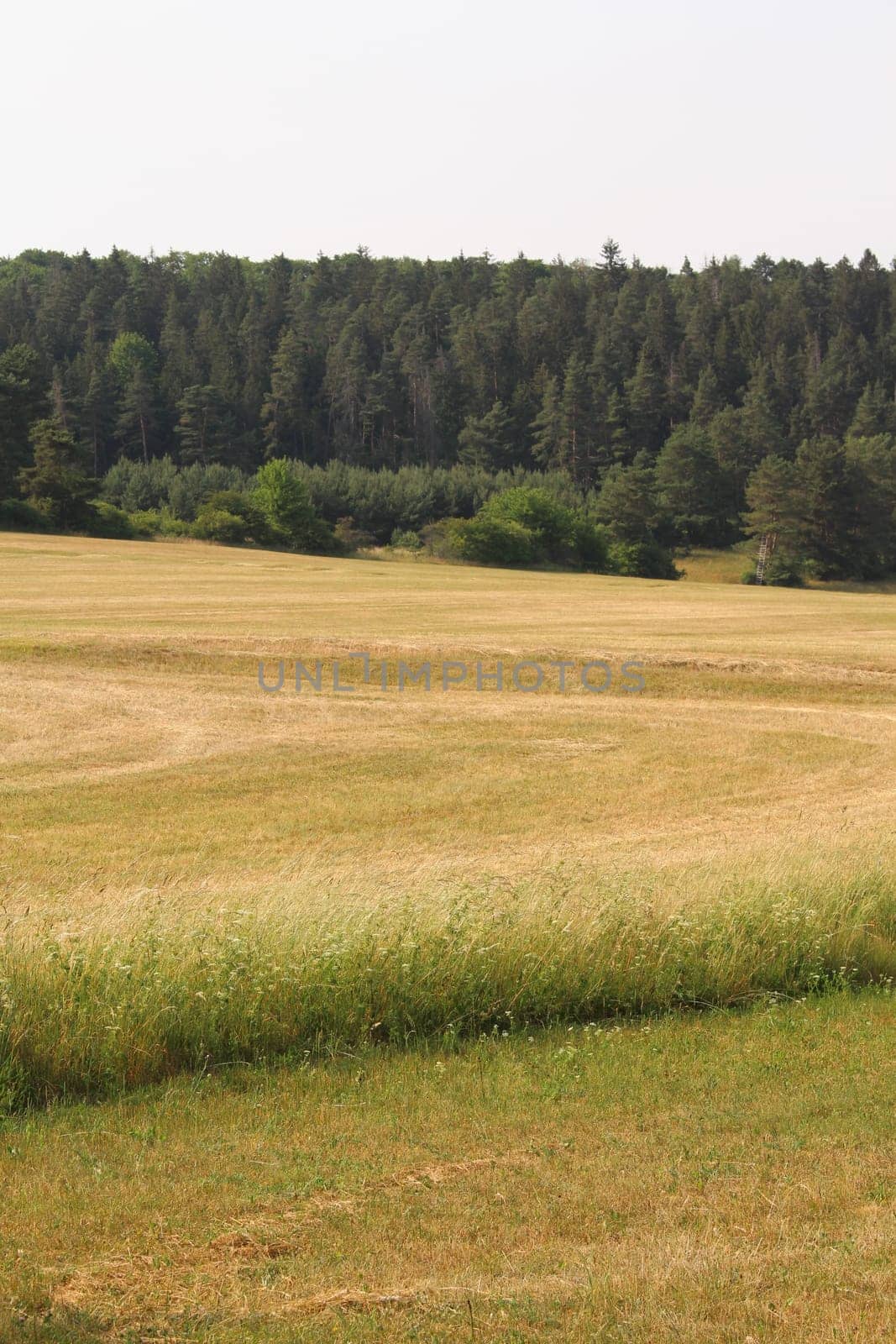 Landscape in Thuringia