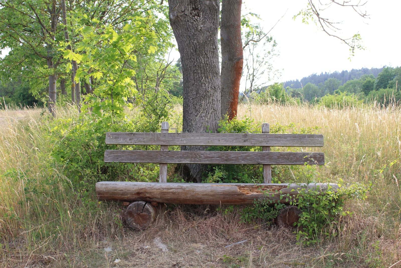 Wooden Bench
