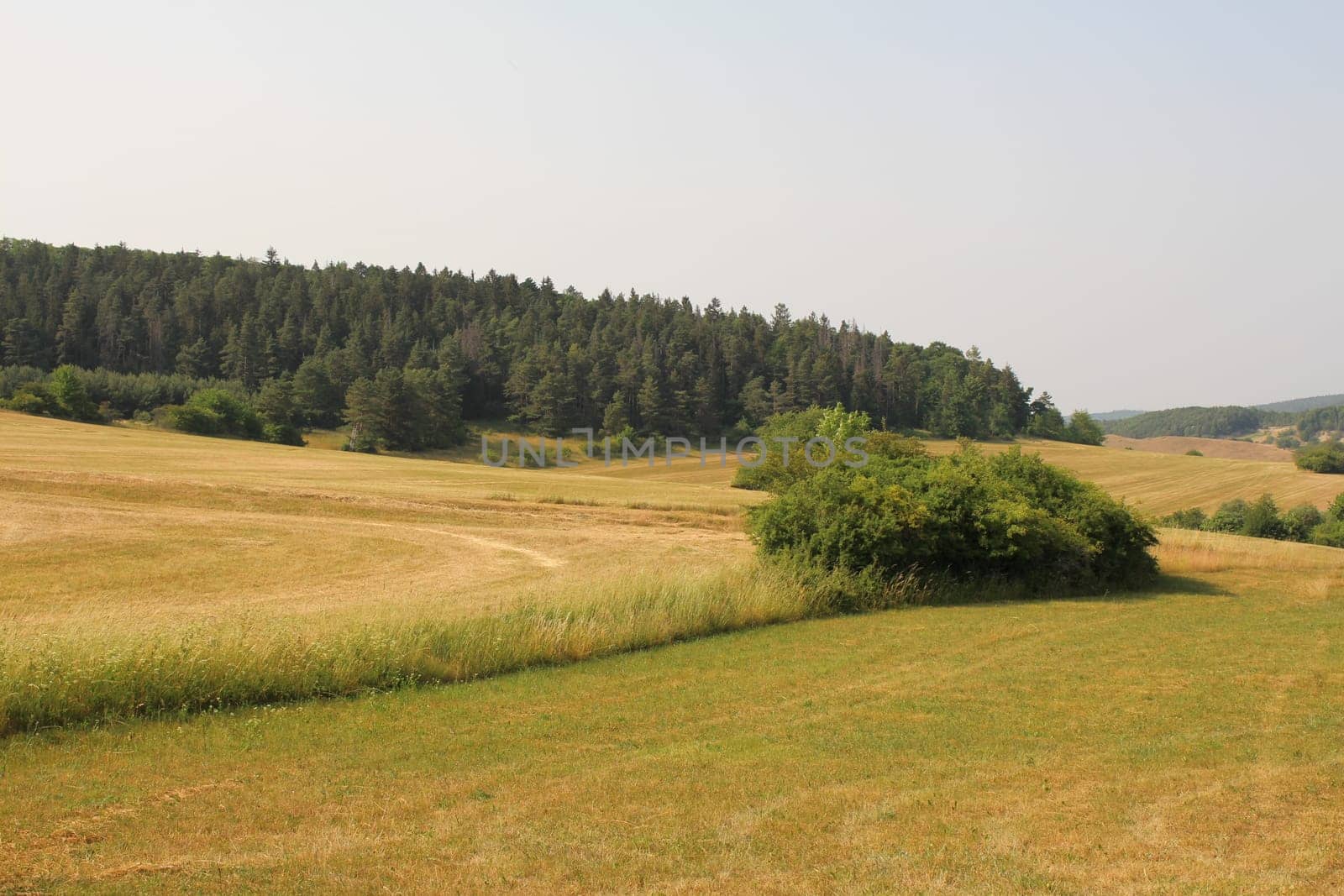 Landscape in Thuringia