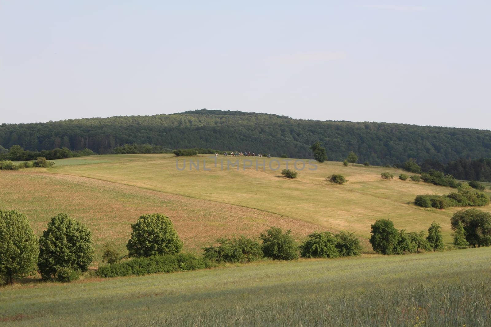 Landscape in Thuringia