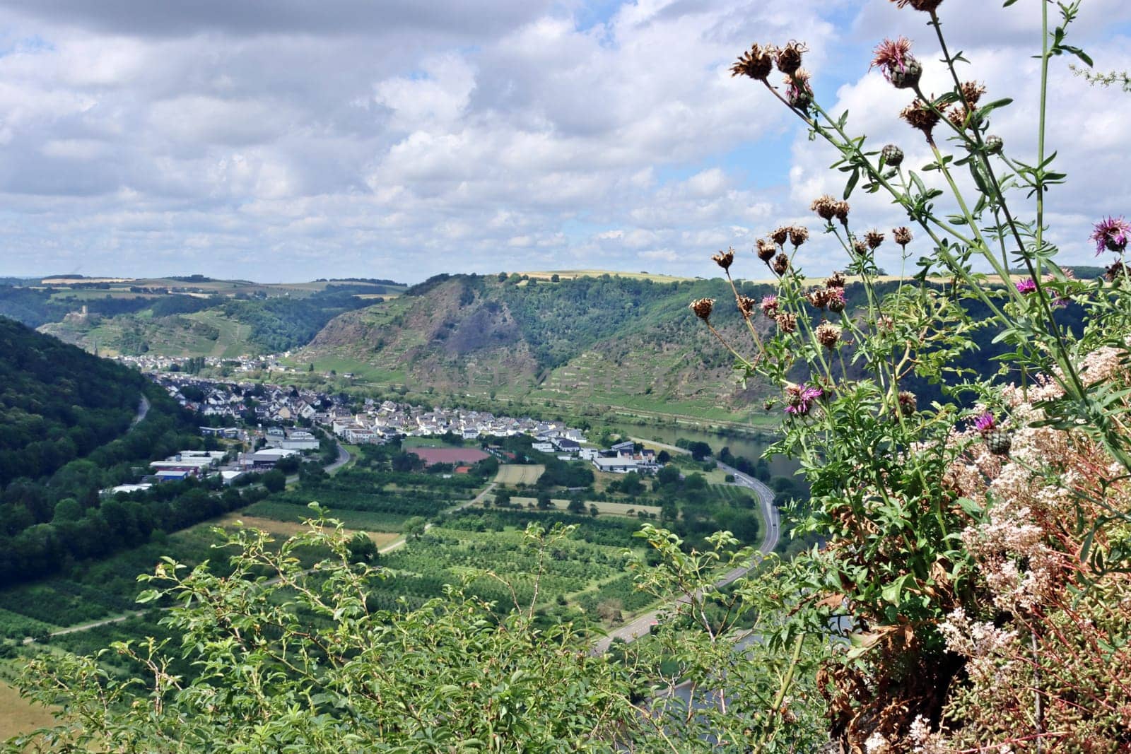 Blick vom Aussichtspunkt Blumsley an der Moseltalbrücke auf die Mosel, Rheinland-Pfalz, Deutschland, Dieblich