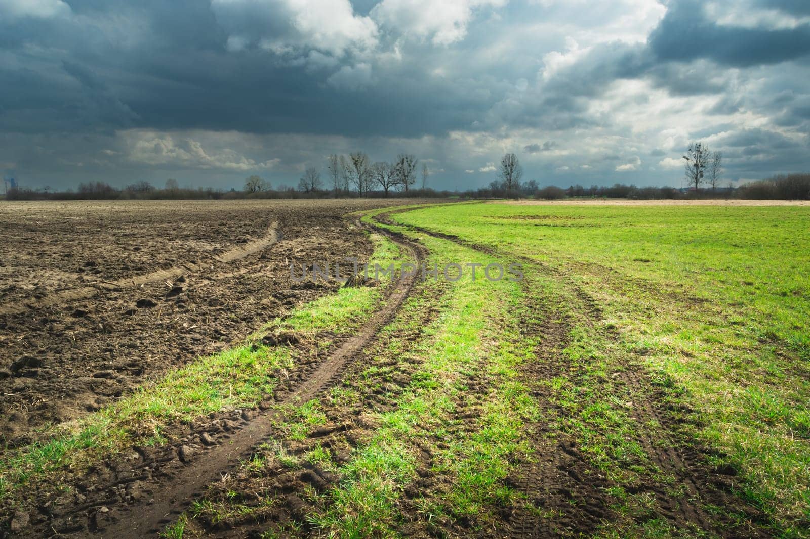 Plowed field next to the meadow and rainy clouds, Nowiny, Lubelskie, Poland
