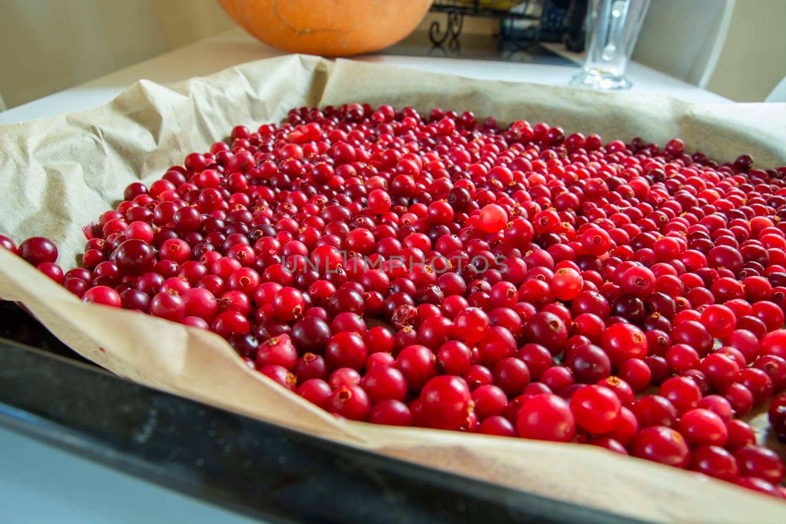Sheet lined with paper and ripe red cranberries