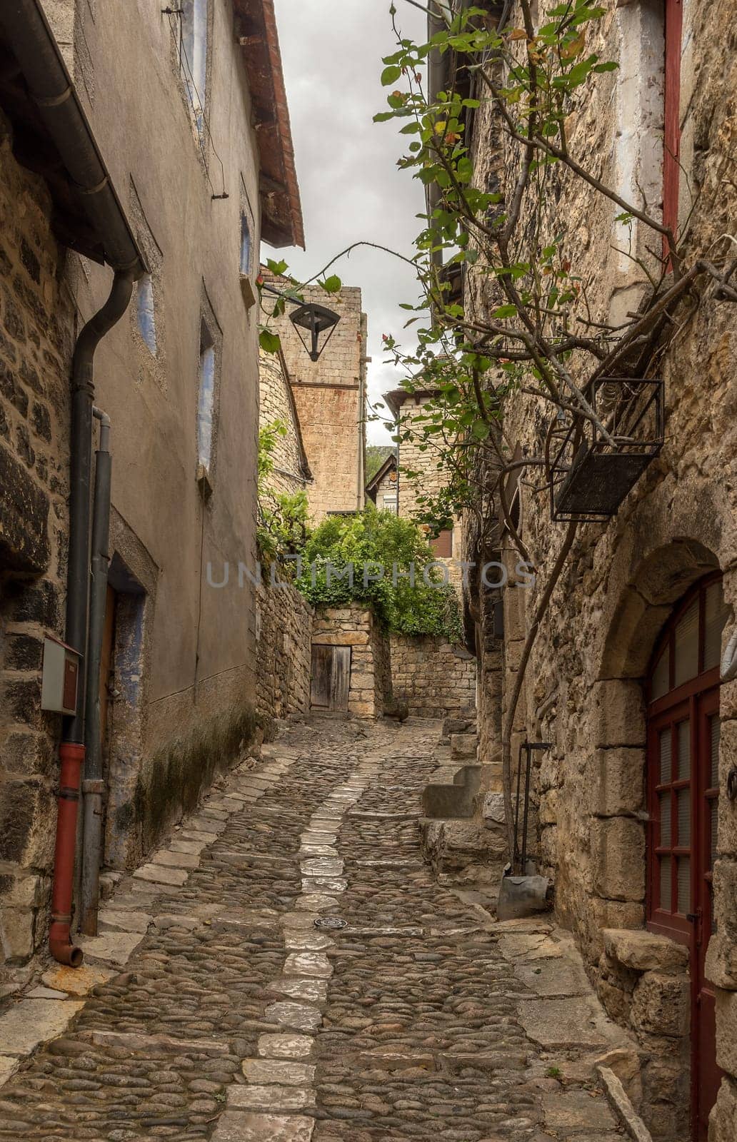 Historical buildings in the commune of Sainte-Enimie, Gorges du Tarn Causses, Occitania, France