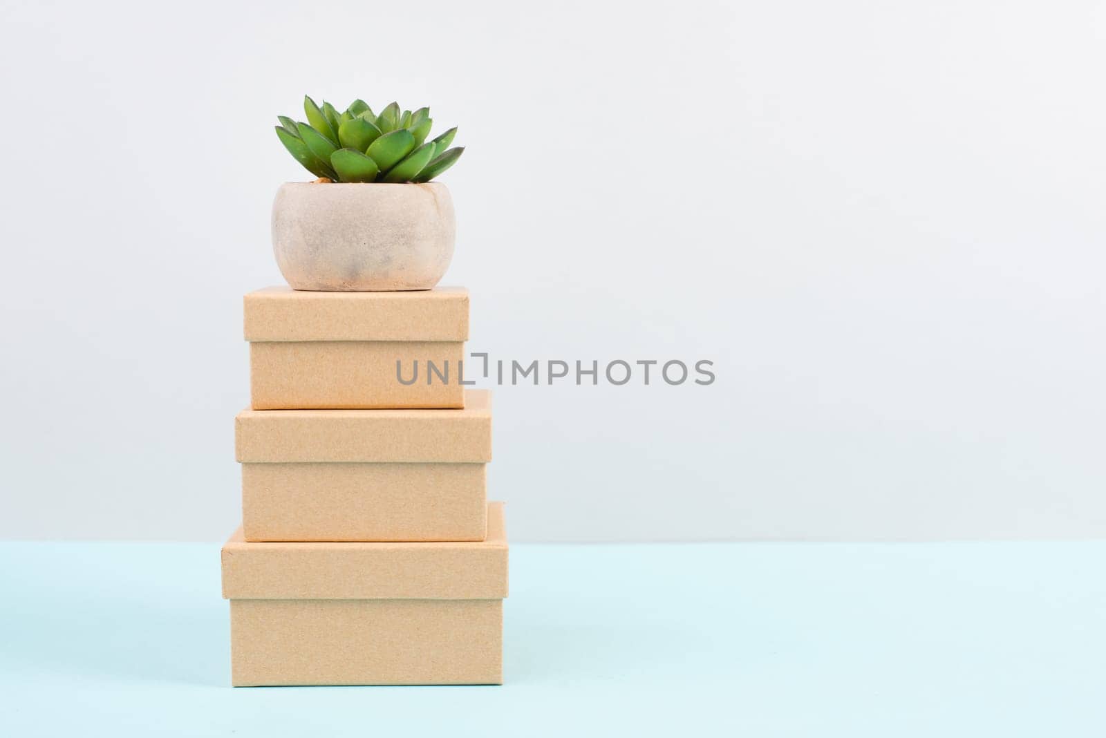 Cactus in a pot standing on a gift box, minimalistic decoration, plant at the desk, copy space for text, modern home, homeoffice