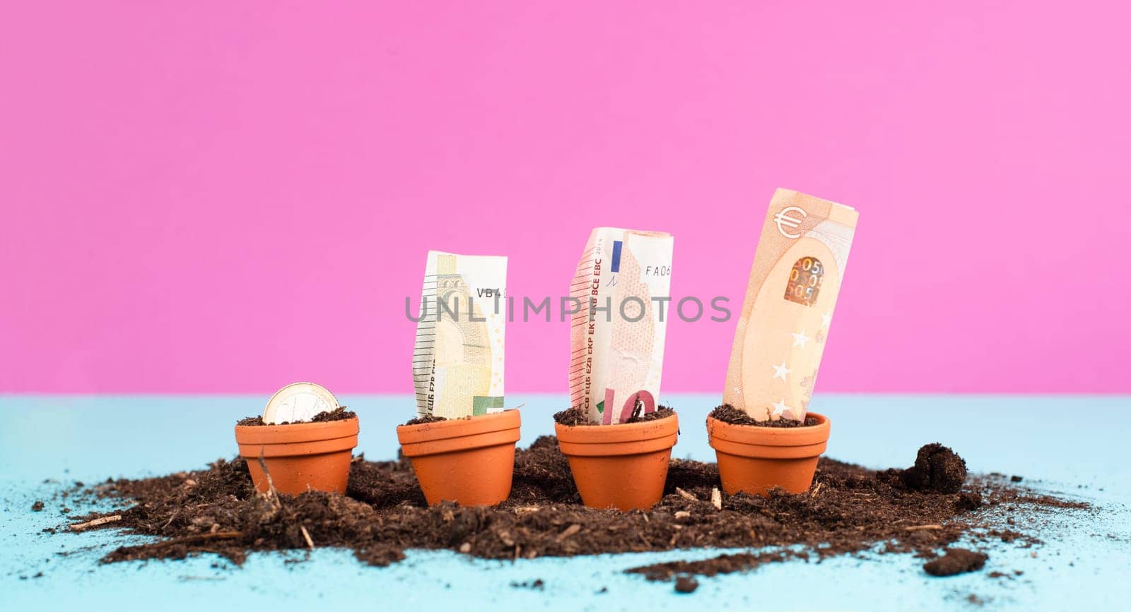 Euro banknotes in small flowerpots, money growing, financial planning, profitable investment, hope concept