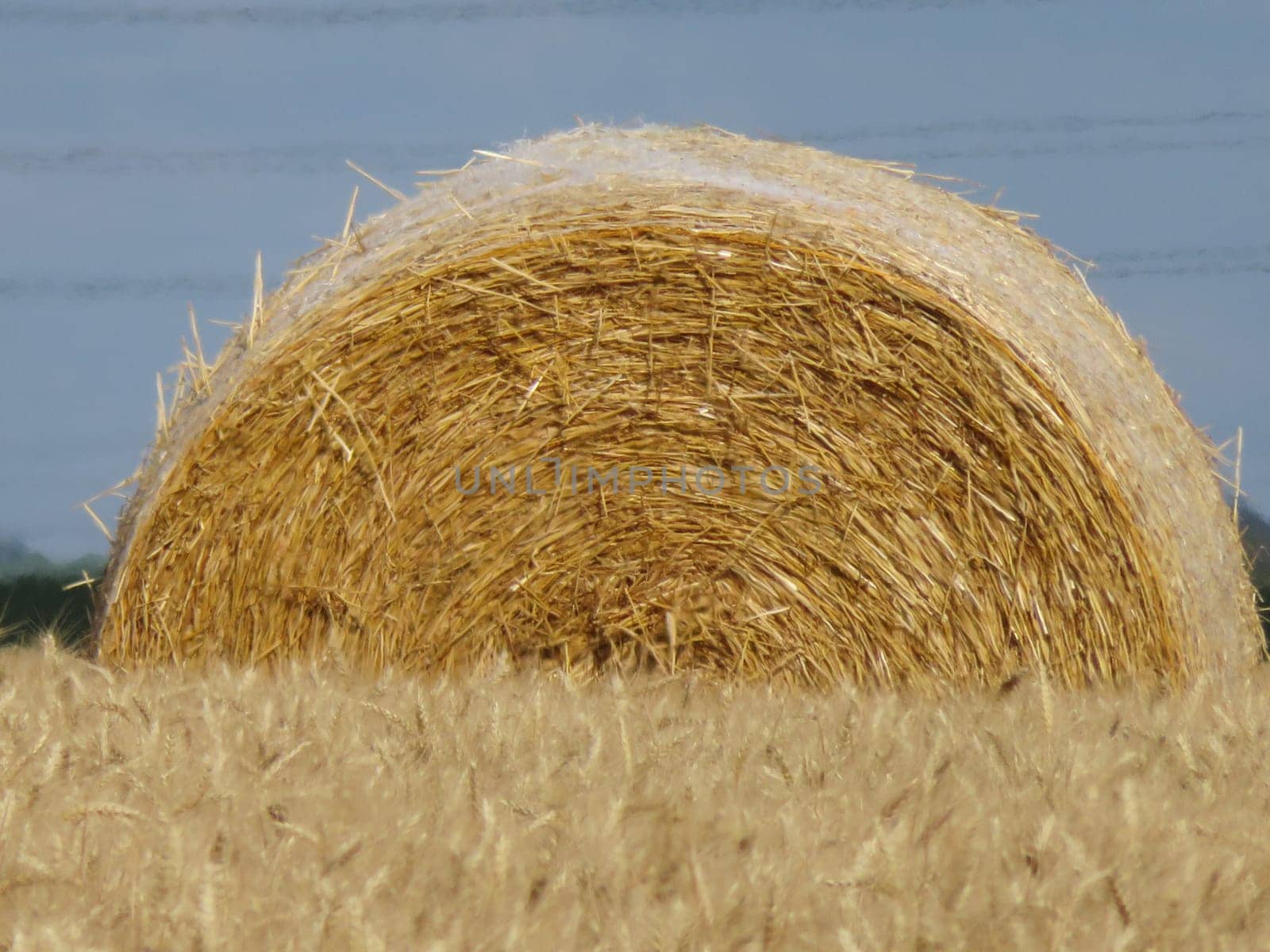 collection of straw round bale animal feed storage