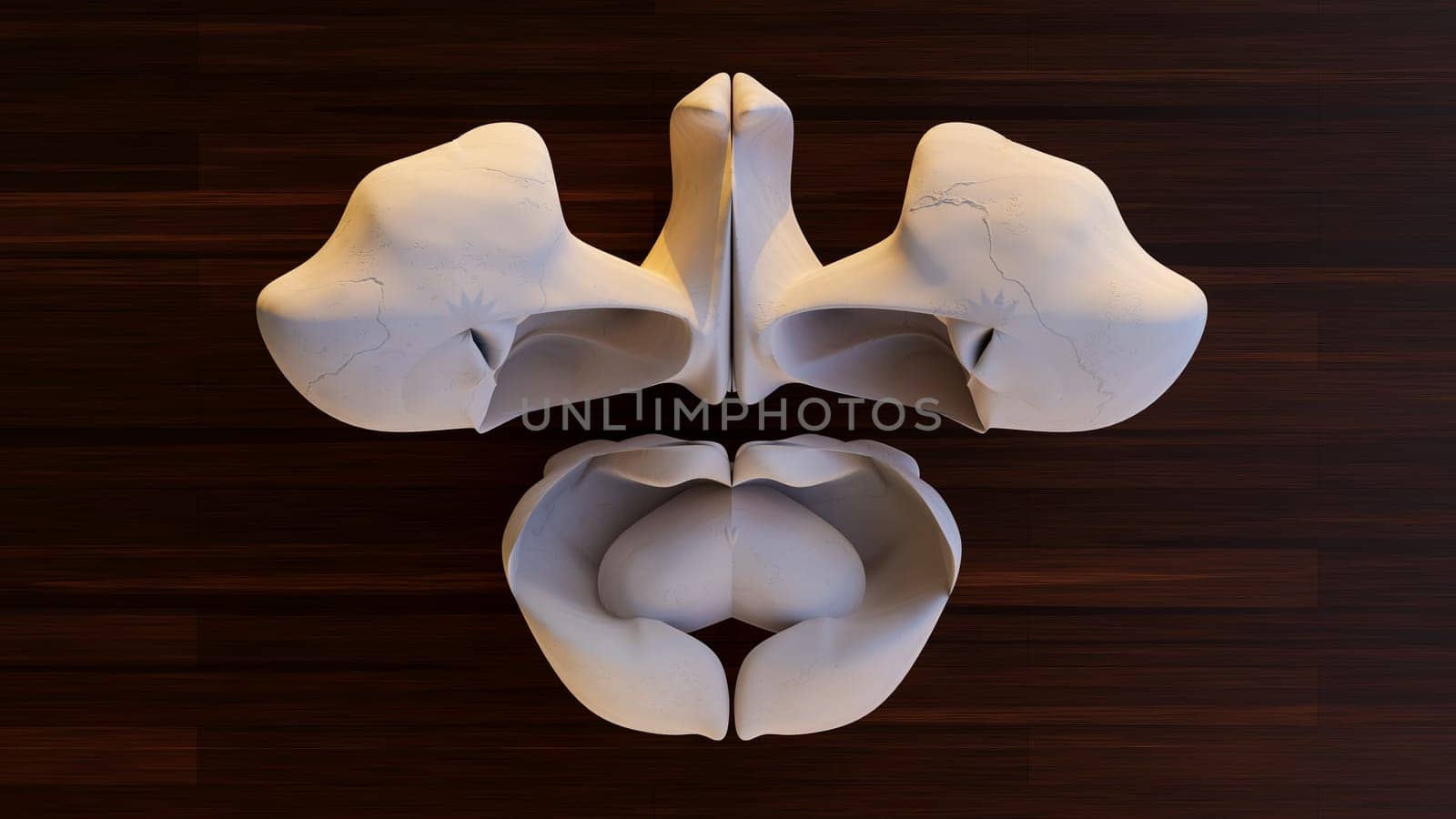 alien hoax skull specimen weird bizarre species discovered 3D illustration