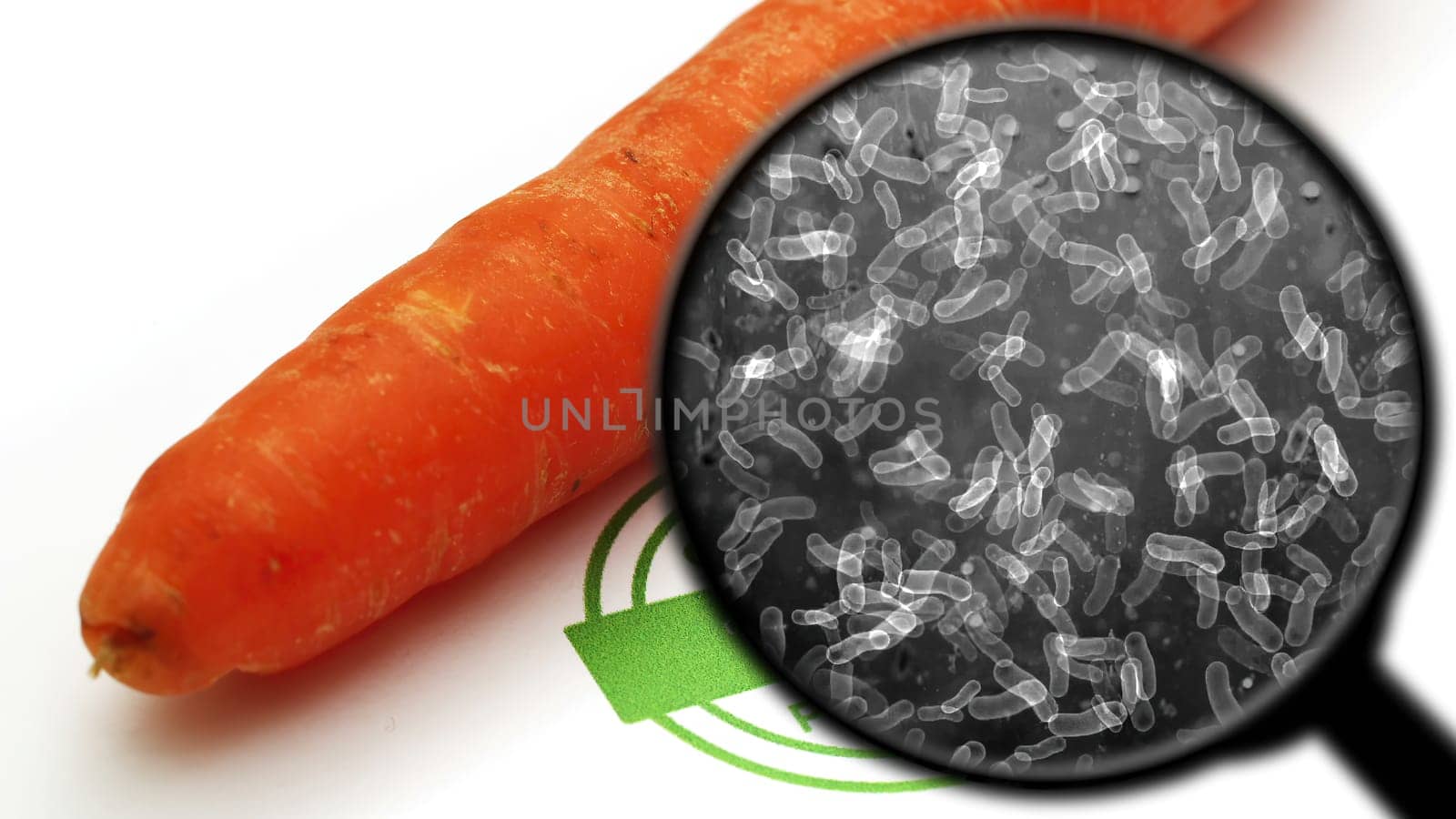 Searching for bacteria in vegetables,Searching for bacteria in vegetables