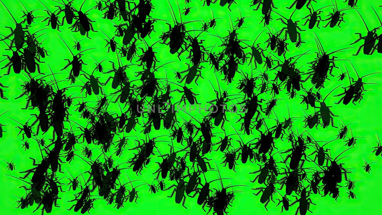 Bugs On Green Screen Silhouette,Bugs On Green Screen Silhouette