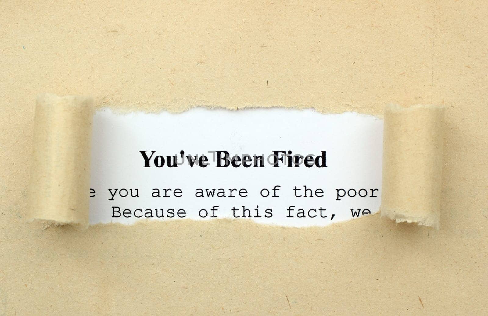 You are fired