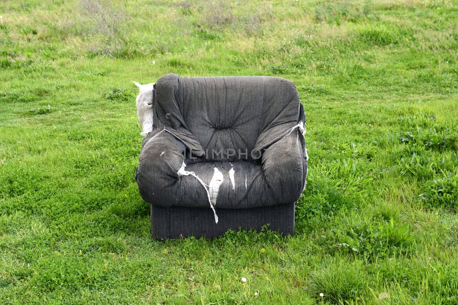 Old chair on green field