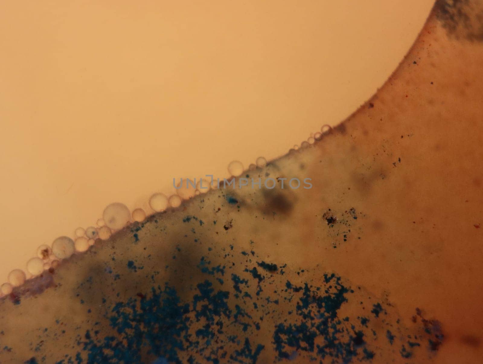 abstract background fantasy illusion rarity imagination virus bacteria sensation