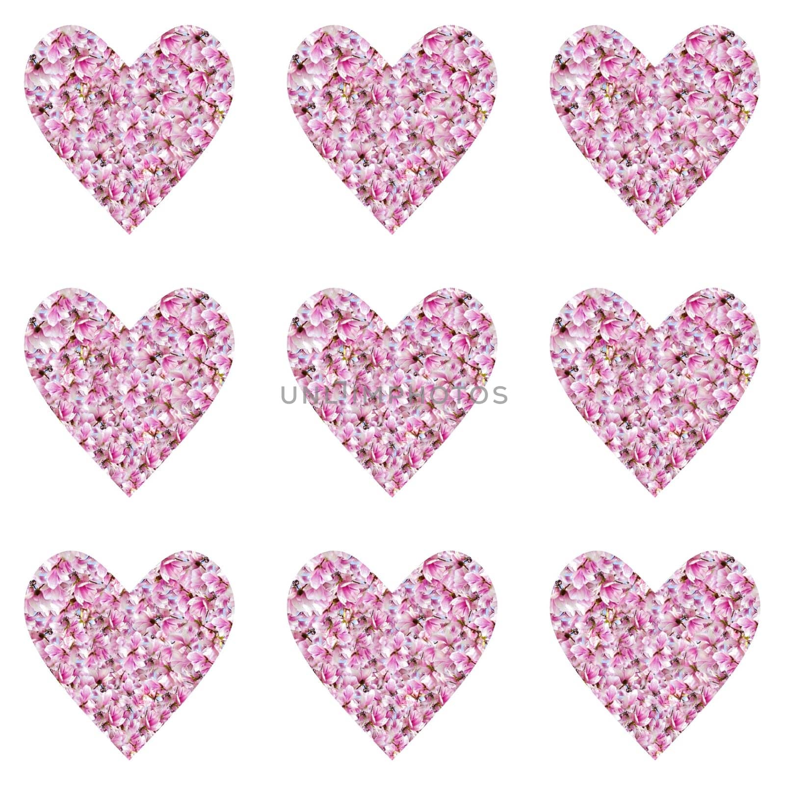 Magnolias,Love and Hearts
