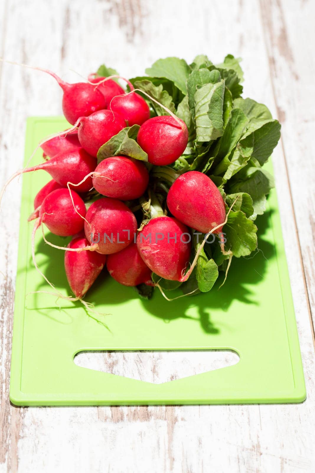 Bund Radishes