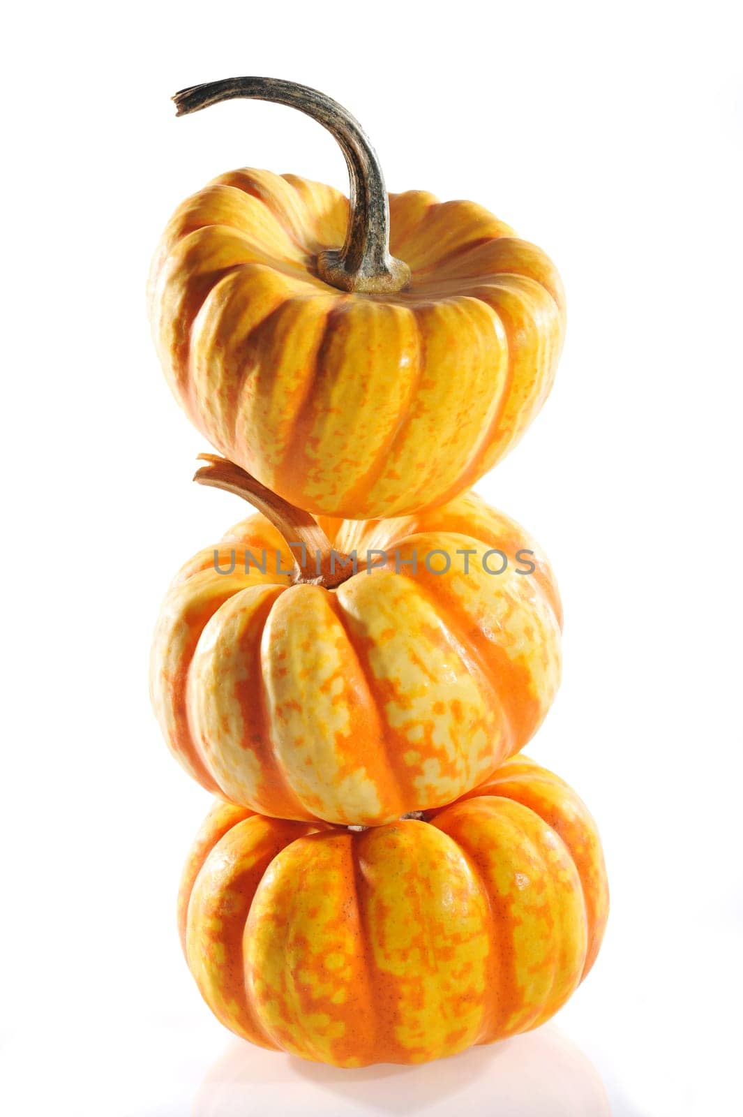 Three Halloween pumpkins on white mirrored ground