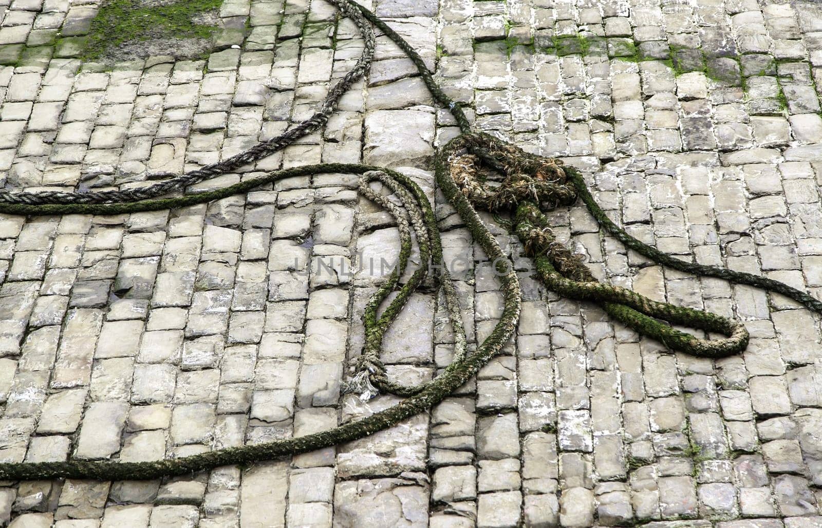 Detail of old and damaged fishing ropes