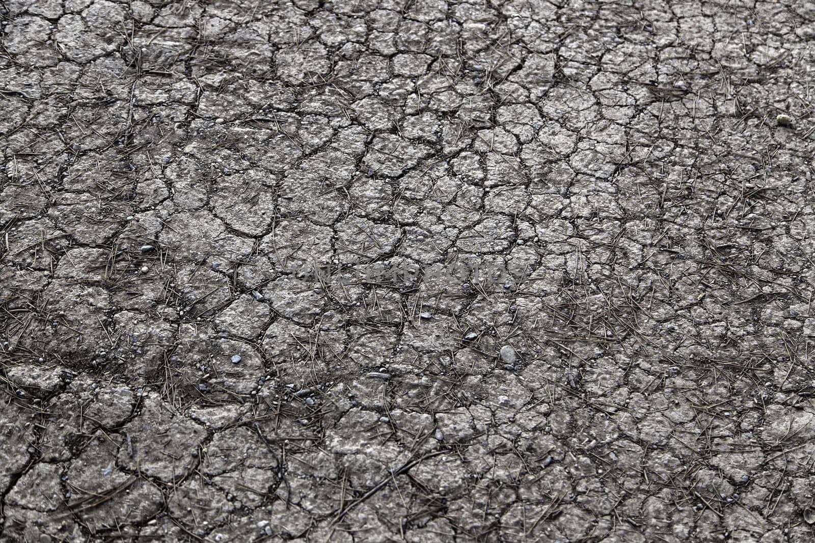 Detail of climatic disaster in nature, environment