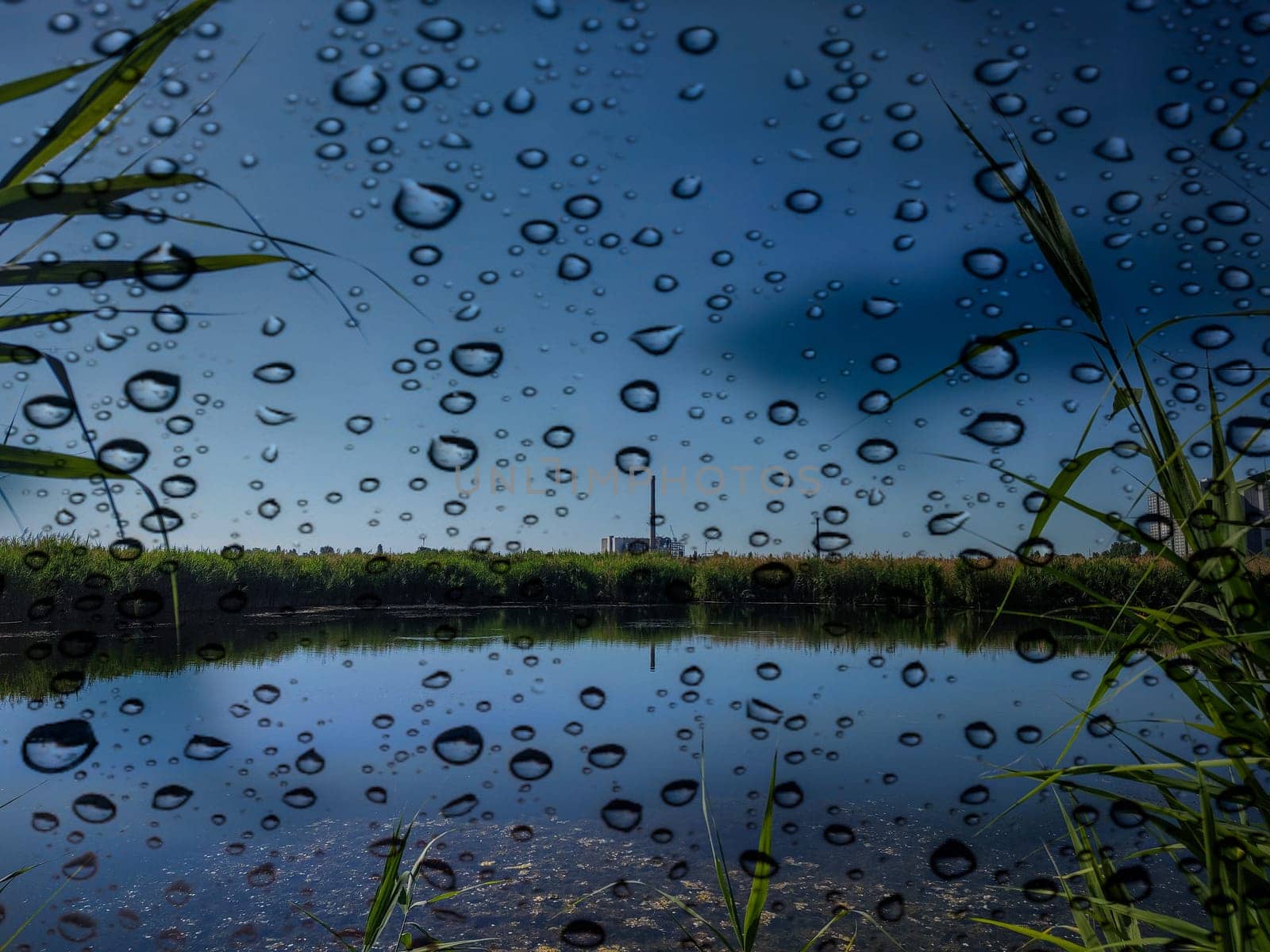 Natural landscape of the lake in rainy weather. Raindrops on the glass. Look through the glass. Freshwater lake. The shoreline of the reservoir.