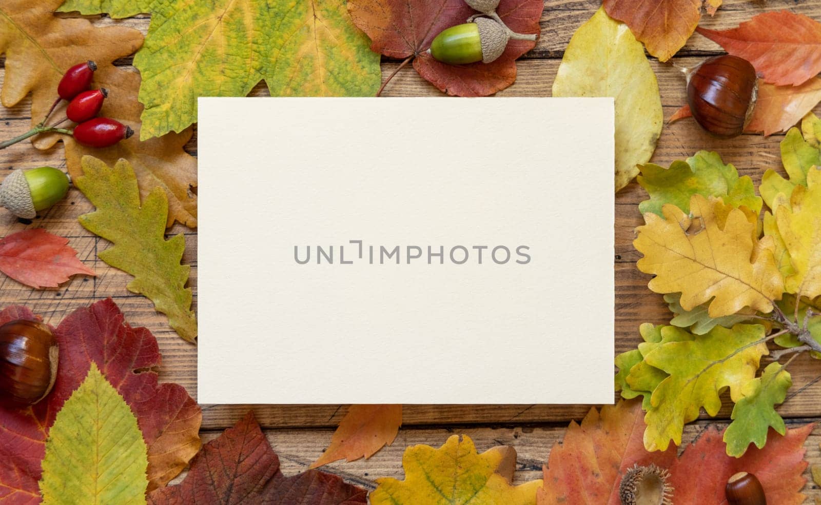 Blank card between colorful autumn leaves and berries on wooden table top view, rustic mockup. Horizontal card, flat lay, copy space. Thanksgiving, halloween or harvest concept