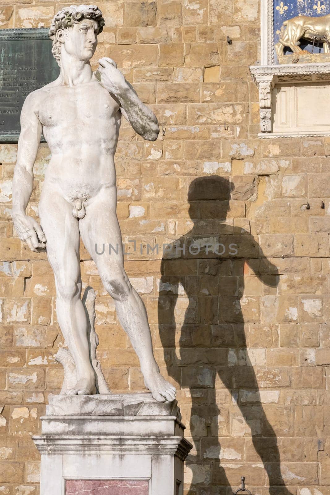 David by Michelangelo Buonarroti in Florence, Italy. Famous masterpiece male perfection