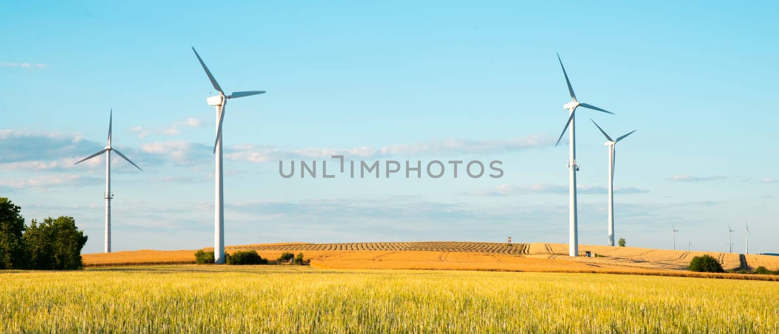 Windmills in a wheat field, renewable sustainable energy, electricity generator, environmental conversation