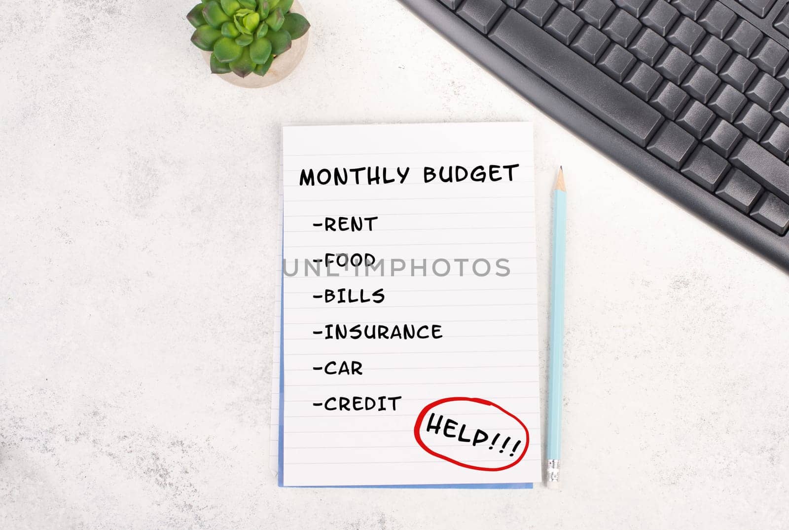 List with the monthly budget for rent, food, insurance, paying bills and credits, financial planning, calculate the expenses, increase of living costs by inflation