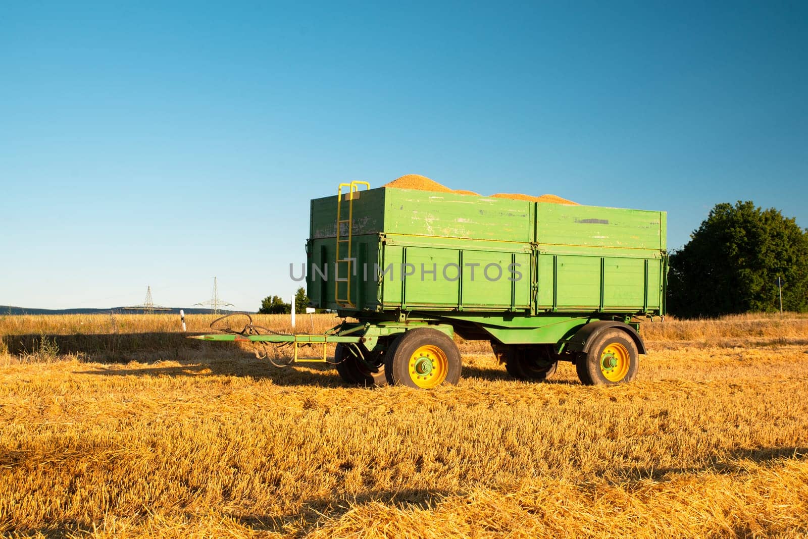 Harvester in a field of cultivated barley in Germany, harvest in the summer, agriculture for food, farmland on the countryside