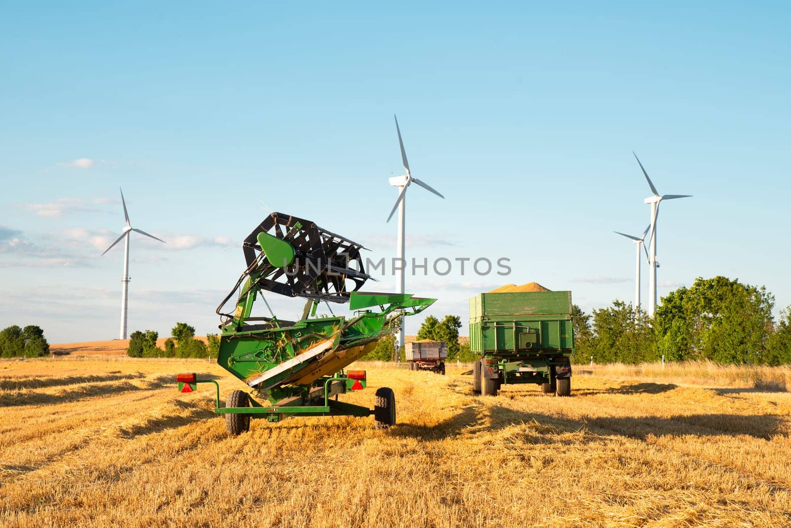 Harvester in a field of cultivated barley in Germany, harvest in the summer, agriculture for food, farmland on the countryside