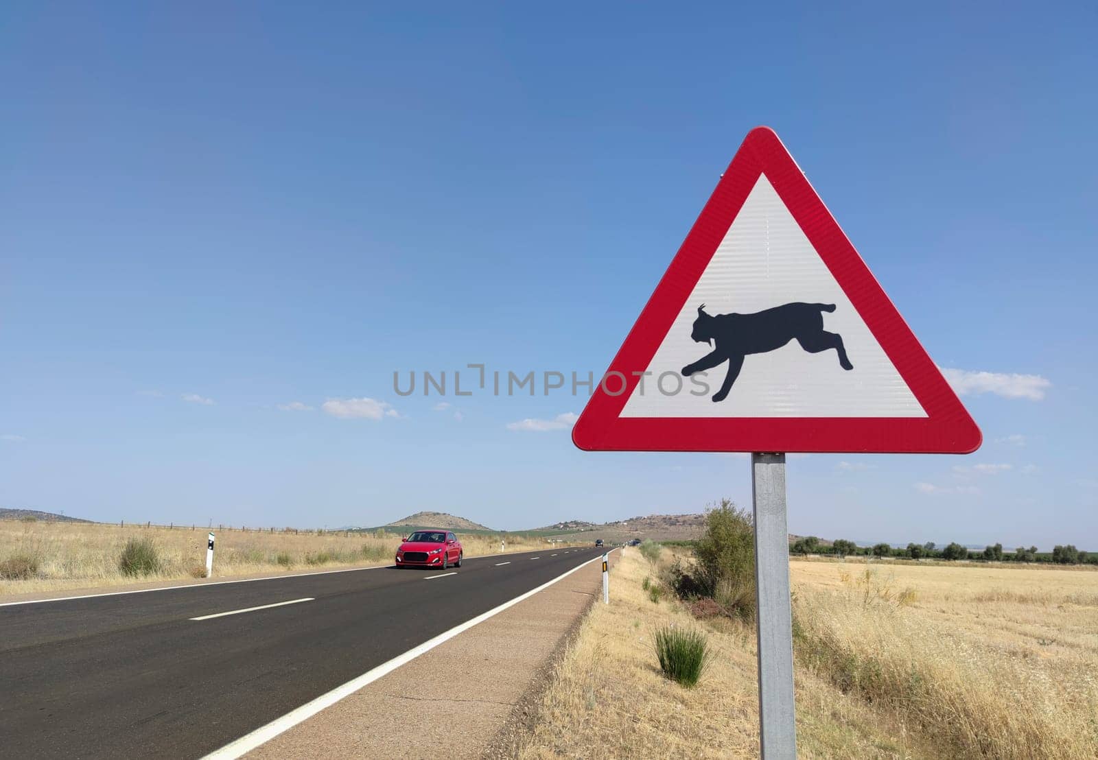 Metal pole with traffic signal warning iberian lynx crossing. Road–kills are considered a chief cause of death in the Iberian lynx