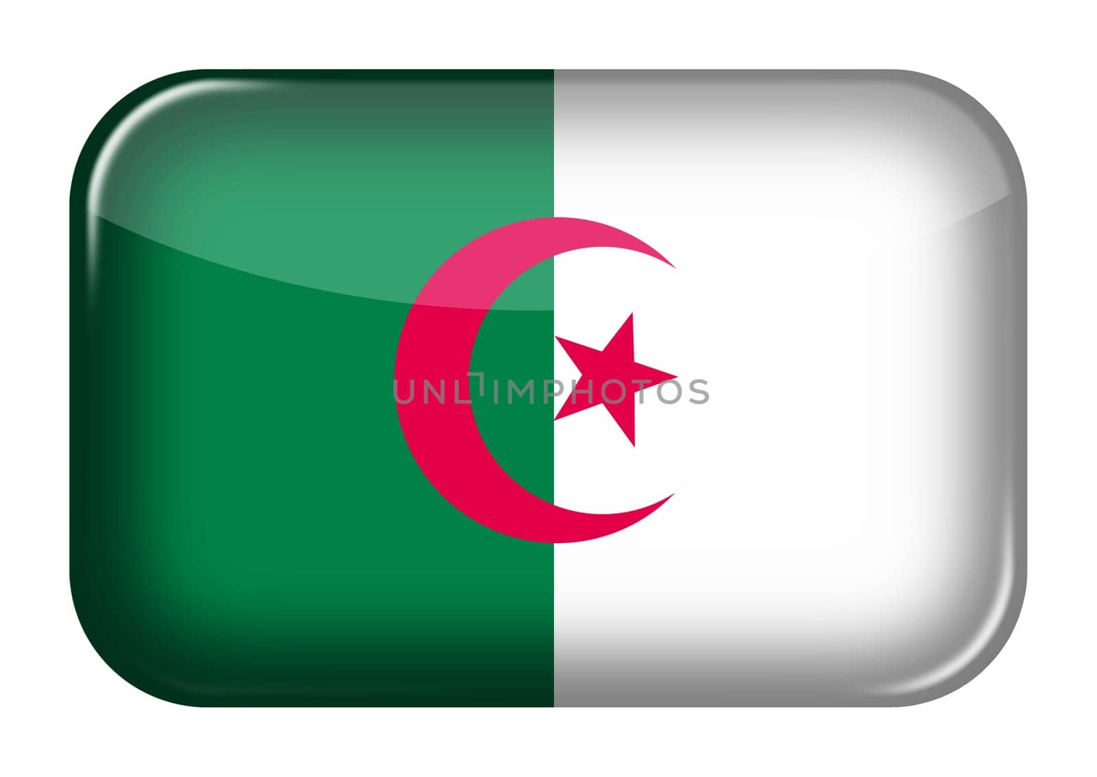 An Algeria web icon rectangle button with clipping path 3d illustration