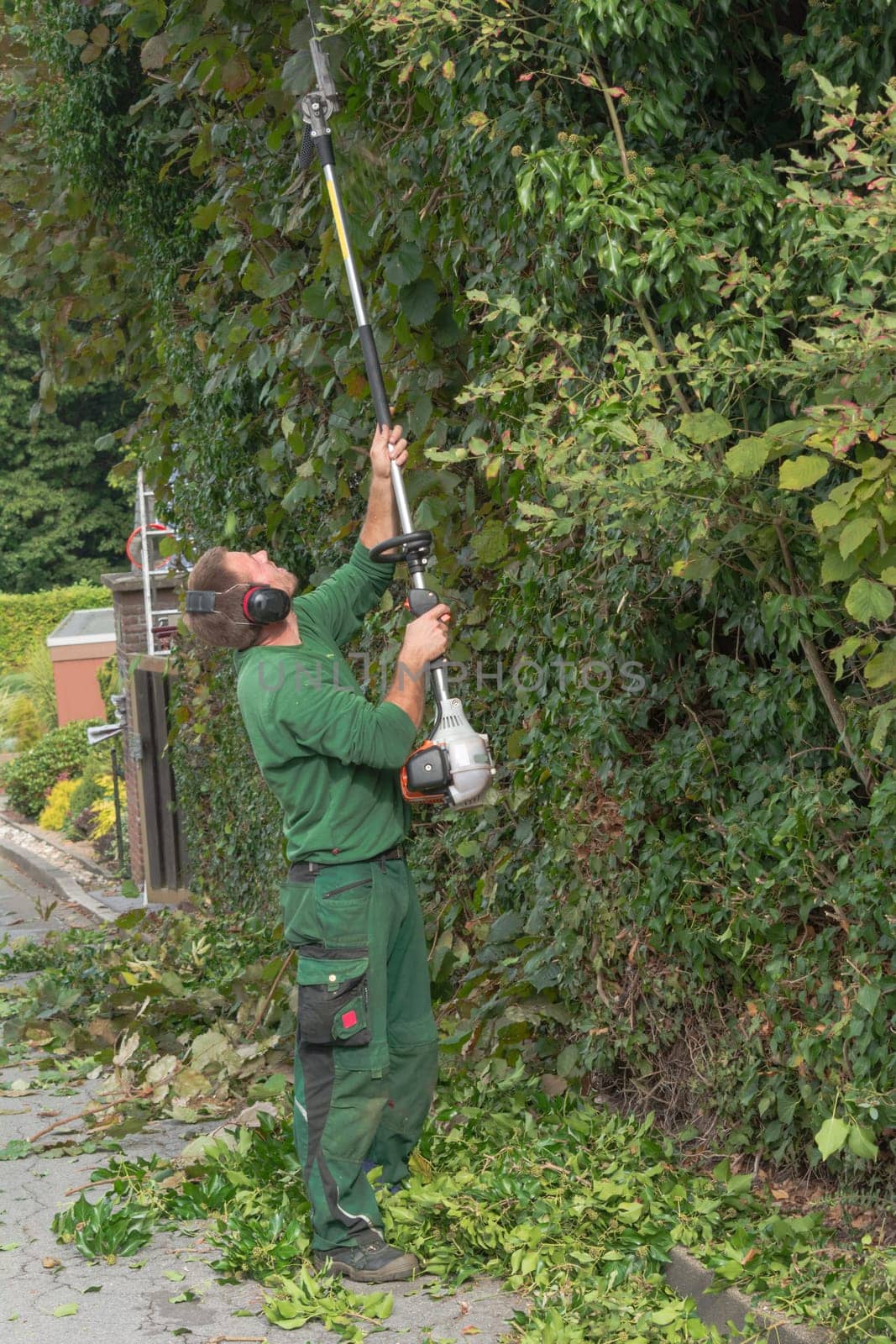 Cutting a hedge with a hedge trimmer motor.