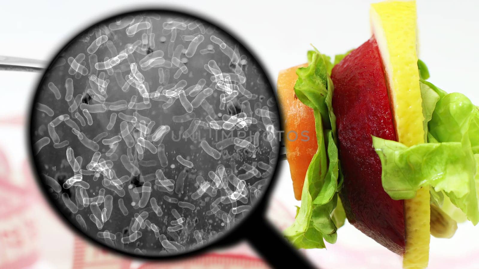 Searching for bacteria in vegetables,Searching for bacteria in vegetables