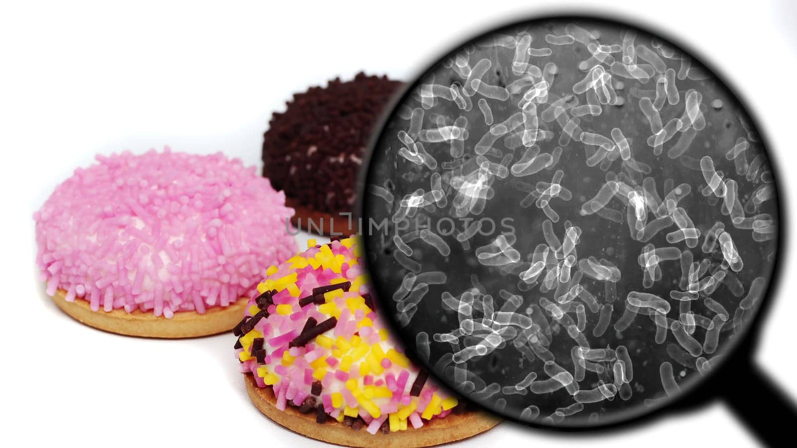 Searching for bacteria in sweets,Searching for bacteria in sweets