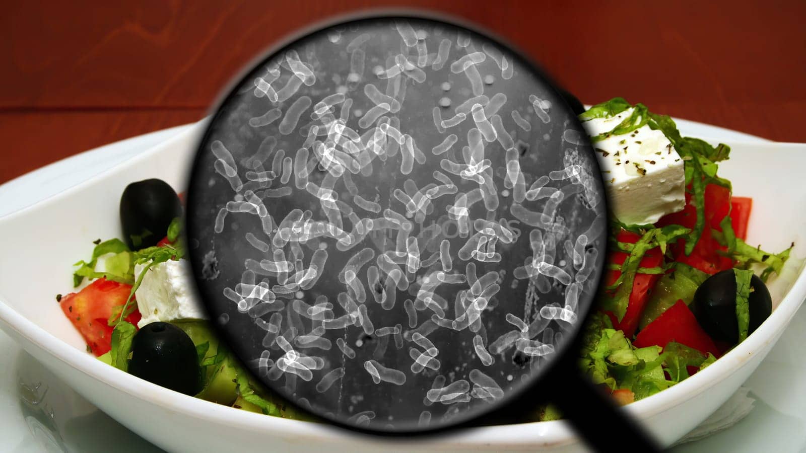 Searching for bacteria in vegetables,Searching for bacteria in vegetables