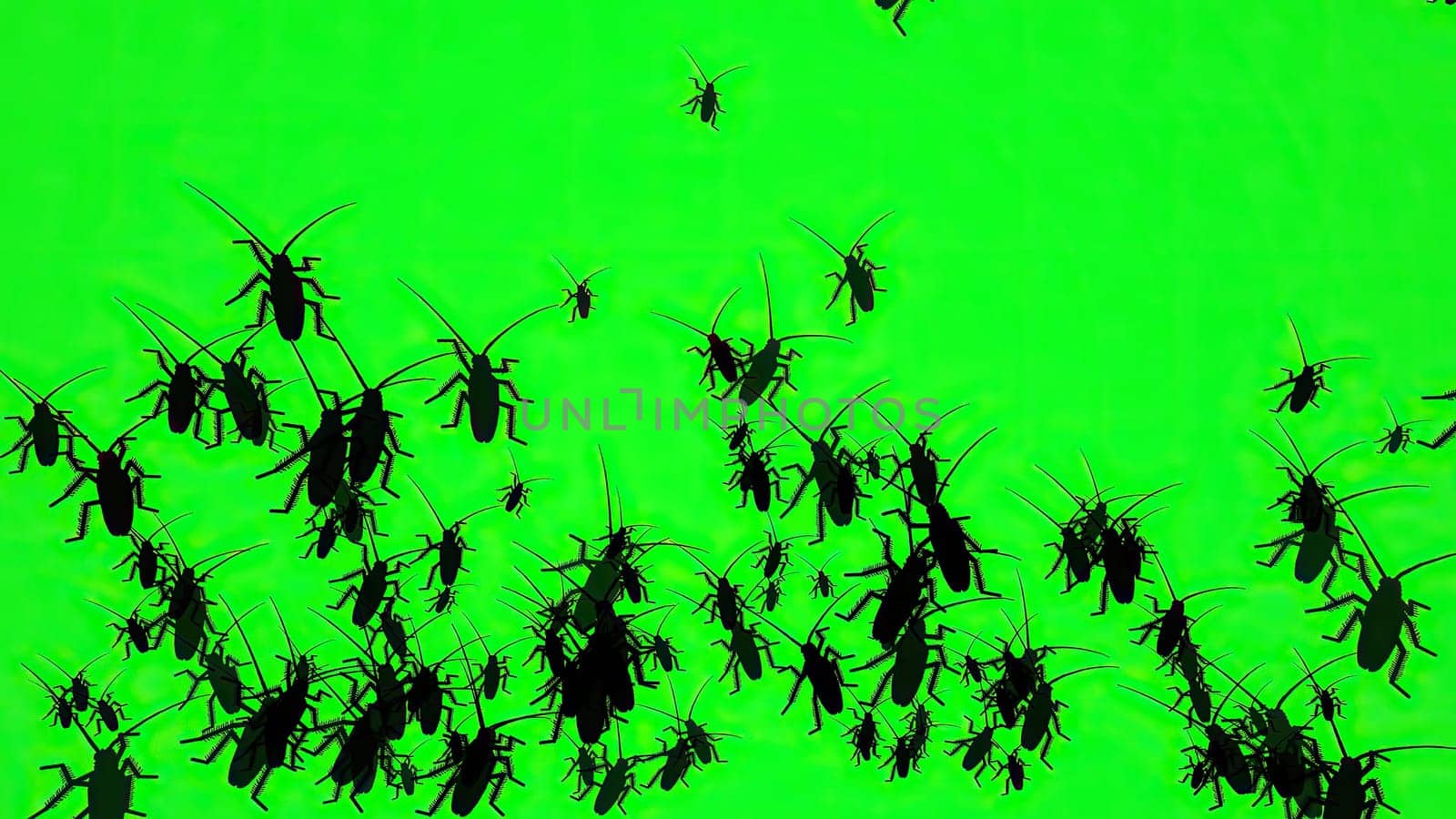 Bugs On Green Screen Silhouette,Bugs On Green Screen Silhouette