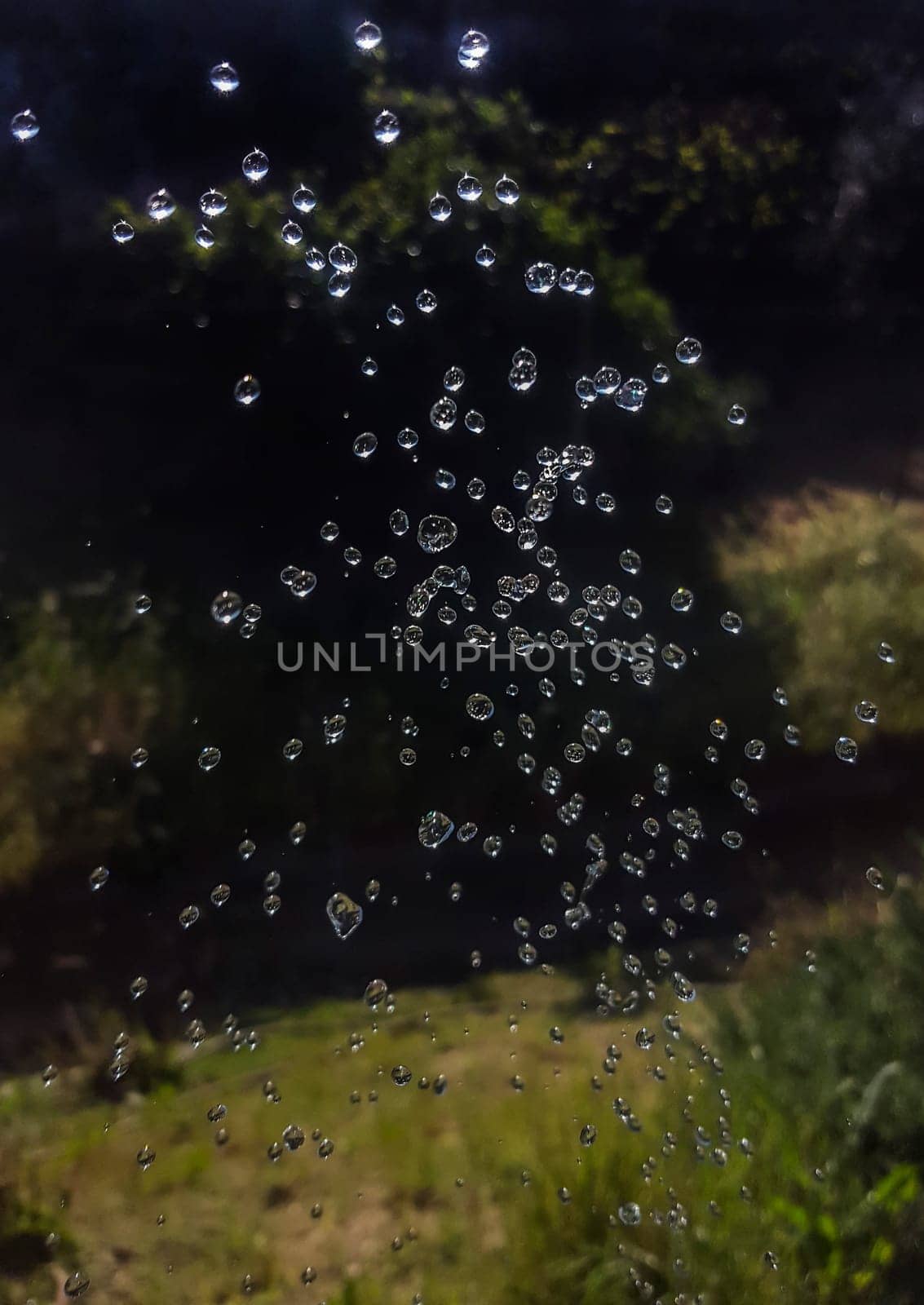 Sprinkler drops suspended in the air. High shutter speed shot