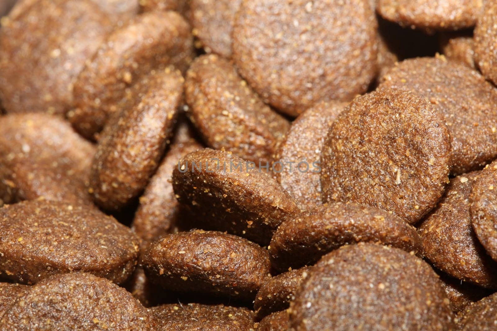 Dogs dry round food close up animals eating background high quality big size prints