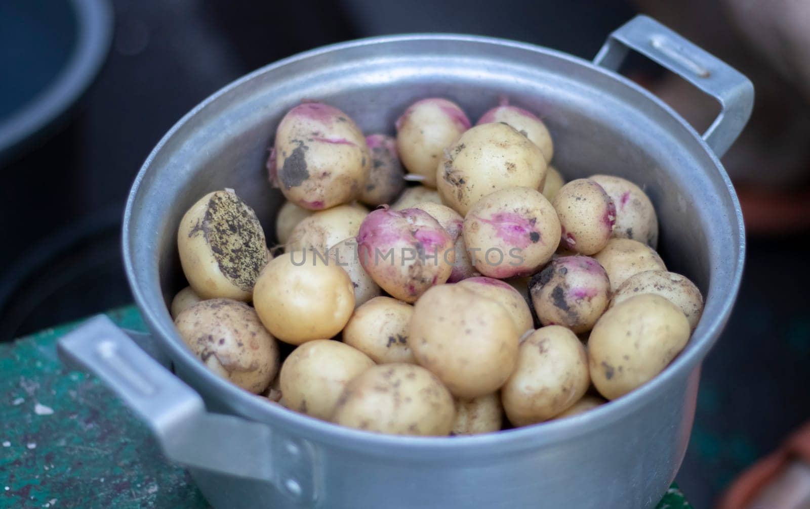 Stainless steel saucepan with raw new potatoes not peeled in selective focus. Close-up of yellow and red skinned potatoes. A pot in which potatoes have just been dug out, covered with earth
