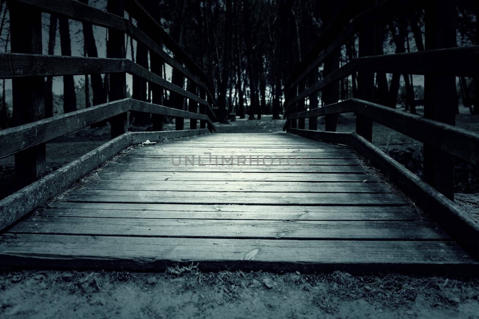 Detail of walkway for pedestrians, path and sport in nature