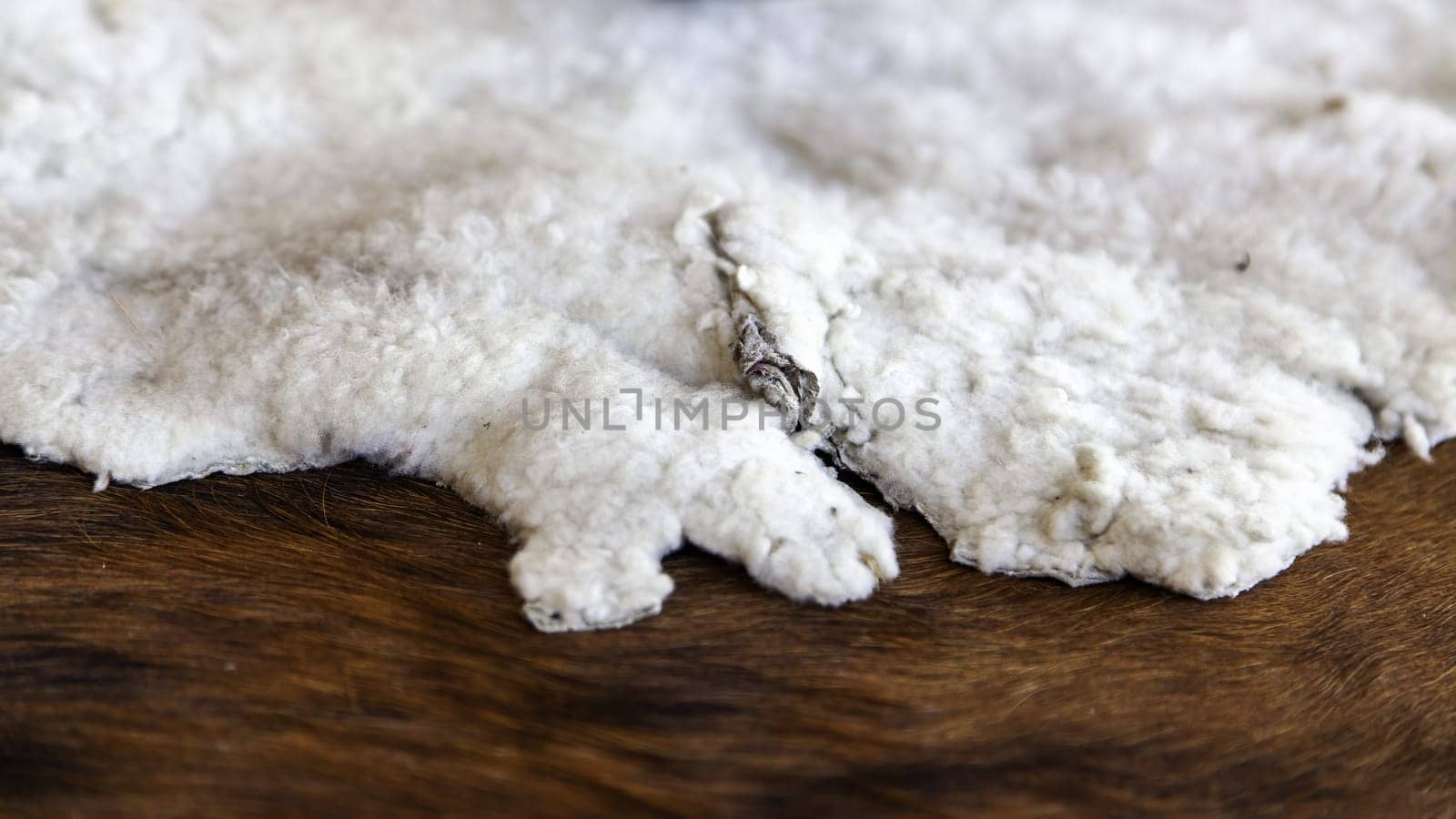 Detail of leather tanned to make clothes for people